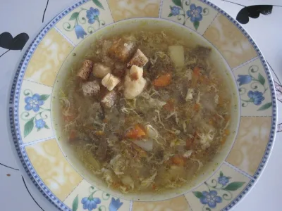 Krkonošská cibulačka