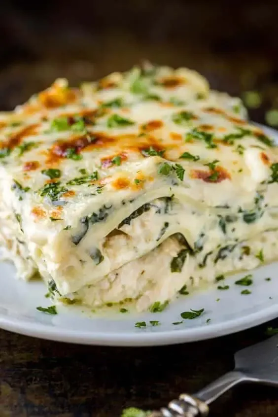 Meal 338 Syrove Lasagne Se Zeleninou Zapecene S Parmazanem Se Salatem Coleslaw Z