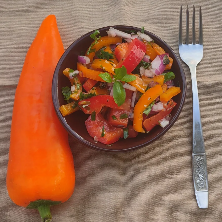 Meal 369 Paprikovy Salat